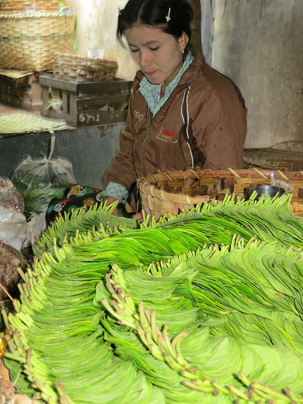 Visit the Burma Yangon Market