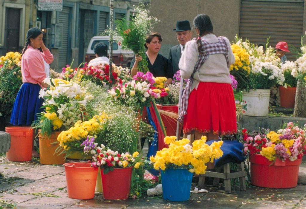 Ecuador Travel: Cuenca Flower Market